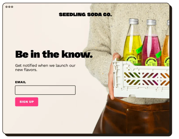 Mailchimp landing pages feature screenshot