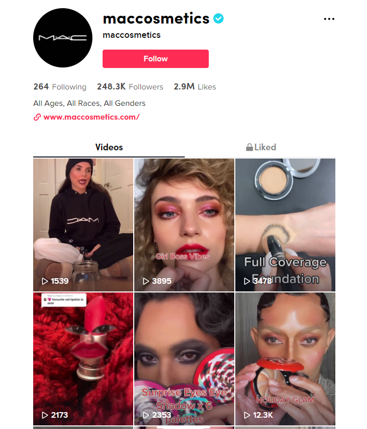 MAC Cosmetics TikTok strategy example